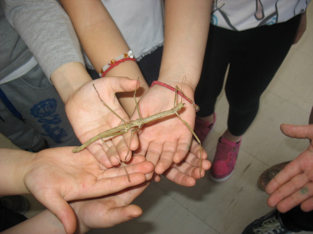 IMG_0026 IMG_0026