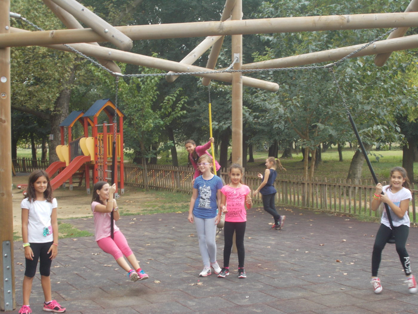 DSCN1486 DSCN1486